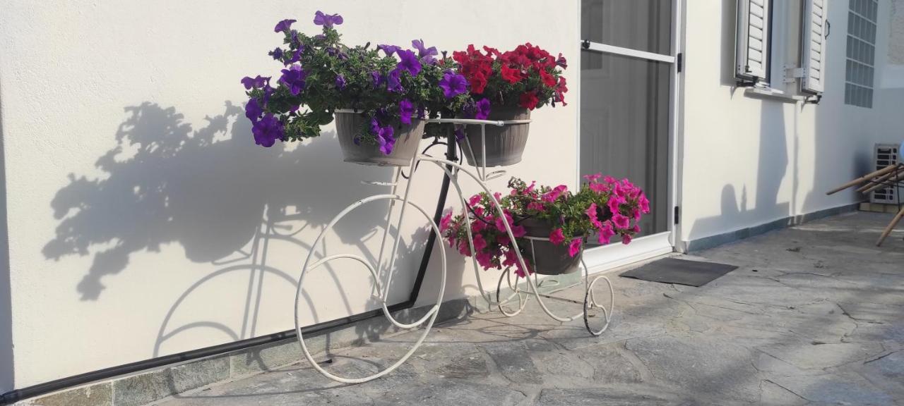 Hibiscus Home Aegina Exterior photo